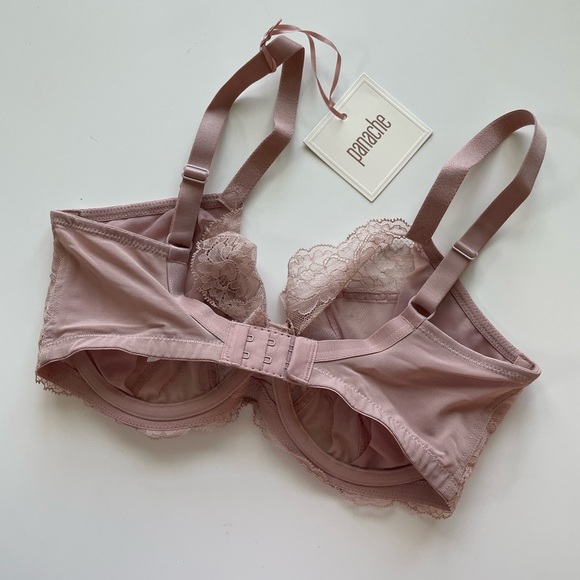 Pananche Ana plunge Bra Size 32FF (UK sizing) Lace Bra Nude; Brand New with Ta… - Picture 4 of 8